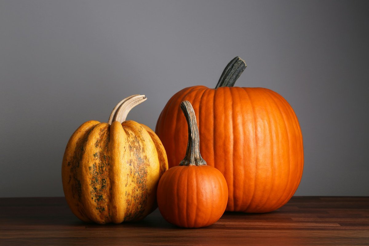 Setting a Wider Table: Meaningful Ways to Give Back This Thanksgiving Across Oshawa