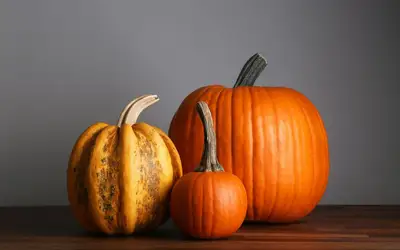 Setting a Wider Table: Meaningful Ways to Give Back This Thanksgiving Across Oshawa