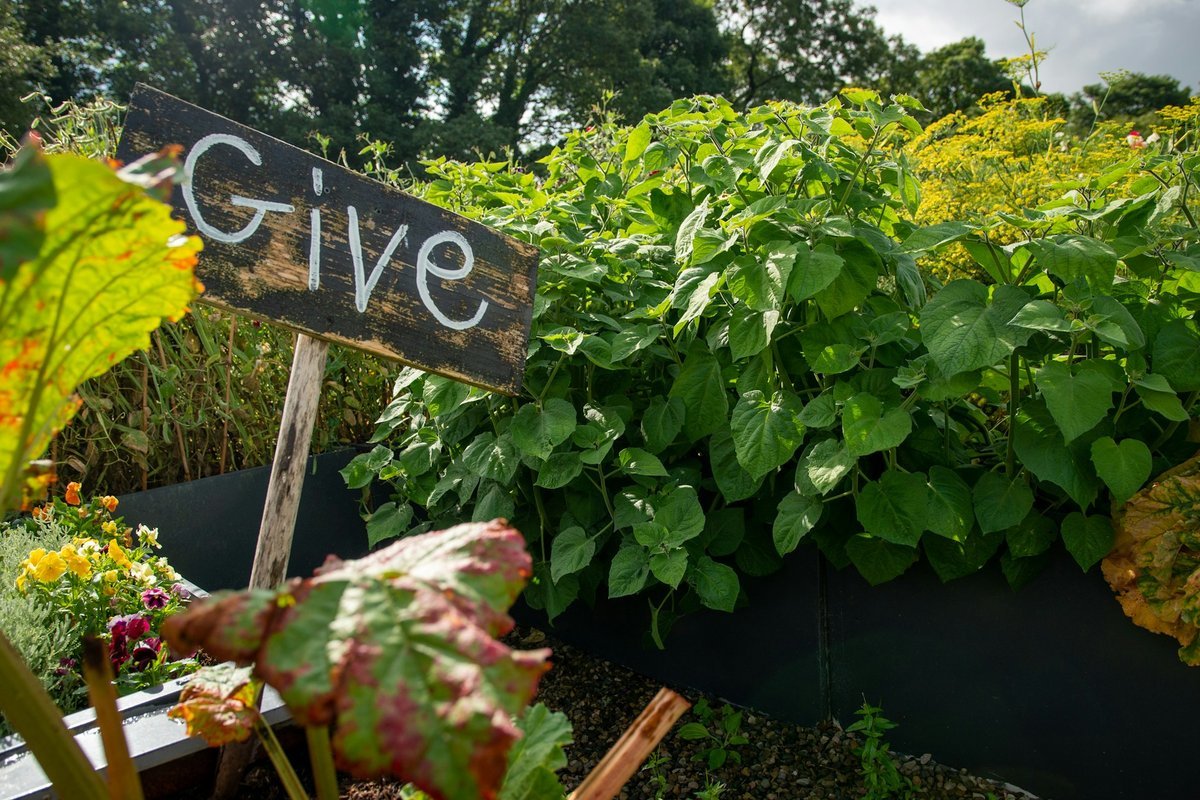 Innovate Today, Nourish Tomorrow: Reimagining Food Security Across Oshawa
