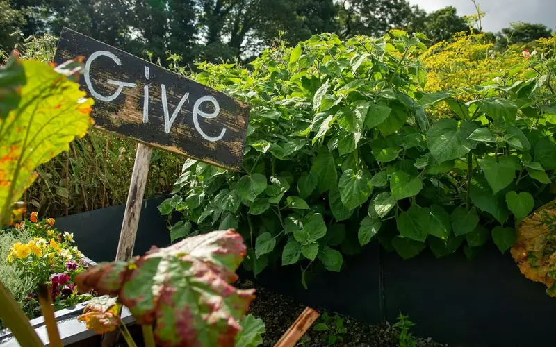 Innovate Today, Nourish Tomorrow: Reimagining Food Security Across Oshawa