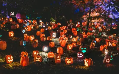 Spooktacular Ways to Give Back: Celebrating Halloween 2026 in Oshawa