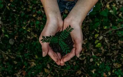 Small Steps, Big Impact: Embracing a Sustainable Summer