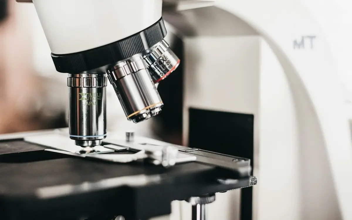 Micro-Volunteering in Oshawa: How to Make a Big Difference in Just Minutes