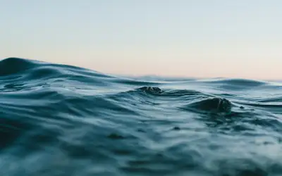Feature image for Celebrate World Water Day in Oshawa!