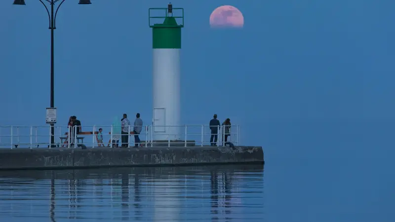 Bénévolat Oshawa - Connectez-vous avec votre communauté